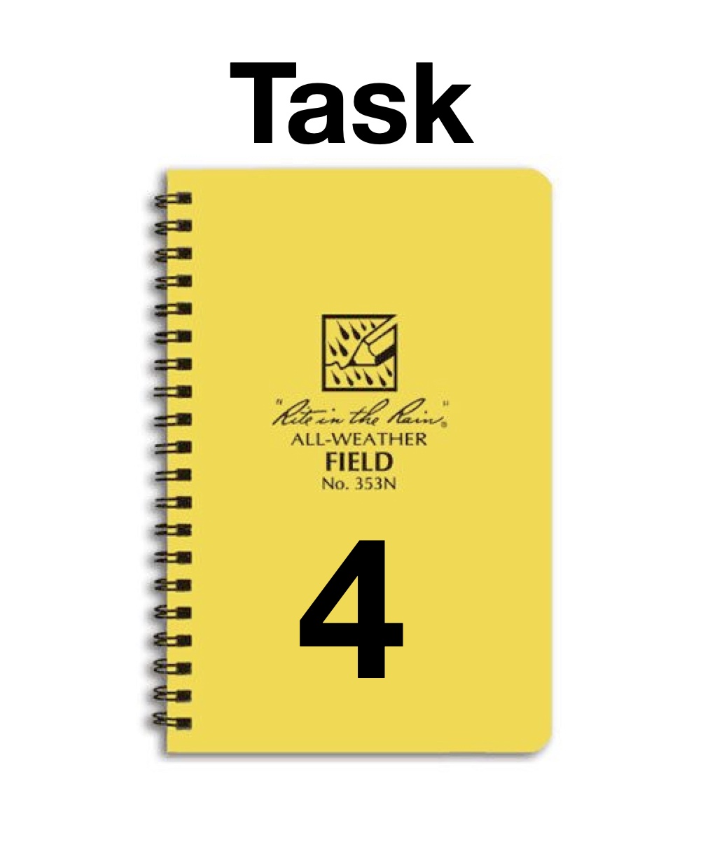 Task 4 Icon